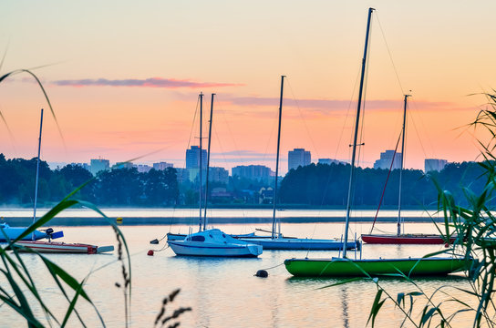 Paprocany 이미지 찾아보기 388 스톡 사진, 벡터 및 비디오 Adobe Stock