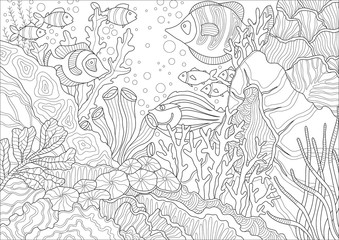 Coral Reef graphic vector illustration - 167021476