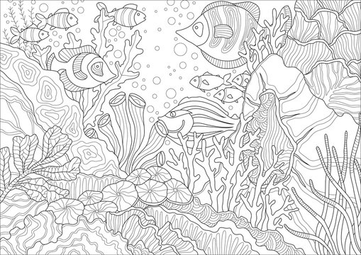 Coral Reef graphic vector illustration