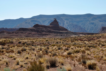 mexican hat