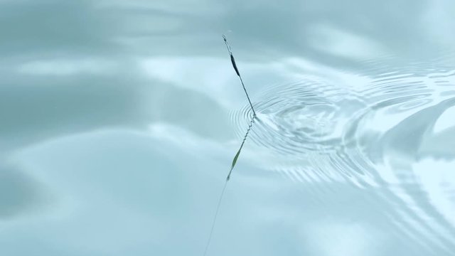 Fishing float sinking in blue water on lake