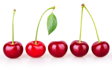 A row of five ripe cherries
