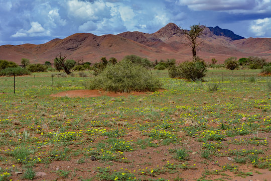 Namibia gravel road C27
