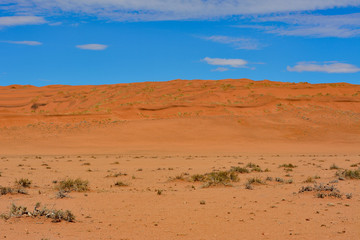 Fototapeta na wymiar Namibia gravel road D707