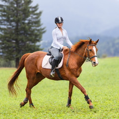Obraz premium Young woman riding sorrel horse on green mountain meadow. Equestrian activity background