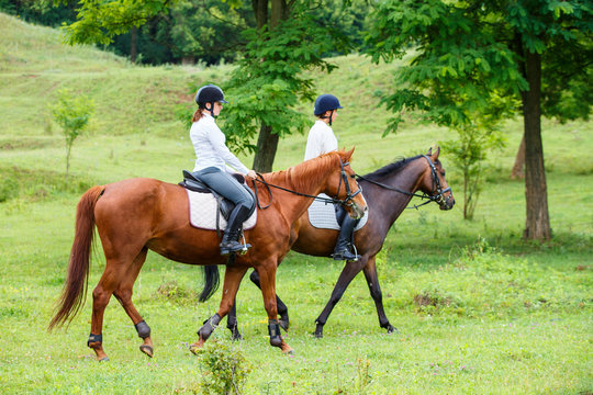 Two young women riding horse in park. Horse walk in summer