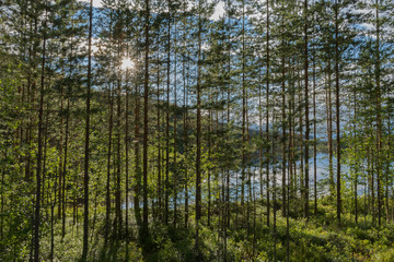 Fototapeta premium Schweden