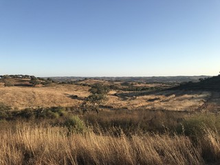 Portugal Landscape