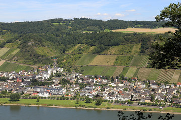 Fototapeta na wymiar Rheintal
