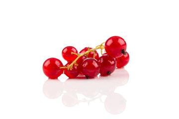 Red currant isolated
