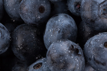 blueberries with water drops close up