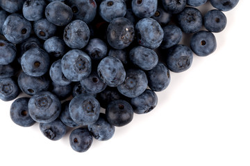 blueberries isolated close up
