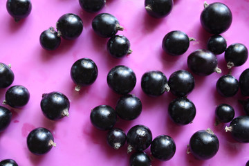 black currant