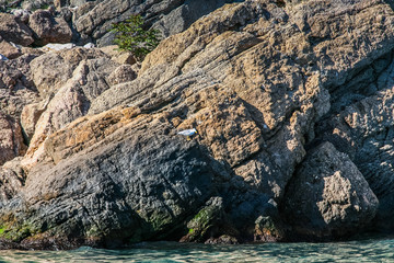 Obraz premium Rocky coast of the Black Sea