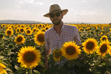Young man standing in a field of sunflowers
