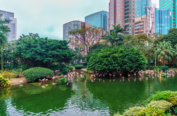 Hong Kong, China - January 20, 2016: Oasis of green in urban setting, Kowloon Park blends well with surrounding natural landscape of Hong Kong city. Pink flamingoes hunting in the pond. City landmark