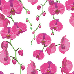 Pink orchid in the spring. Flower design for card, seamless, pattern and background. Vector illustration.