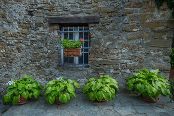 Lerma, Piedmont, Italy - Outside corner where ornamental plants are exposed