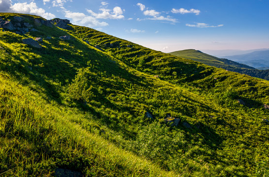 steep grassy slope in summer mountains
