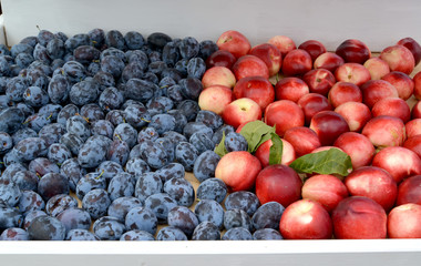 Ripe plums and nectarines lie on a market counter