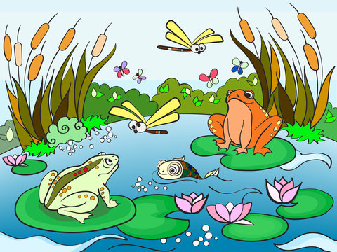 wetland landscape with animals vector for adults