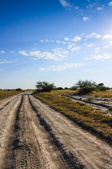 Fototapeta na wymiar Dirt road for wildlife safari in Nxai Pan national park Botswana, Africa