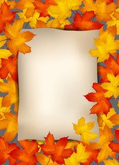 autumn maple leaves on an old paper background