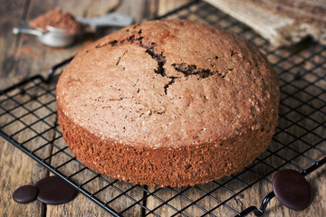 Chocolate sponge cake
