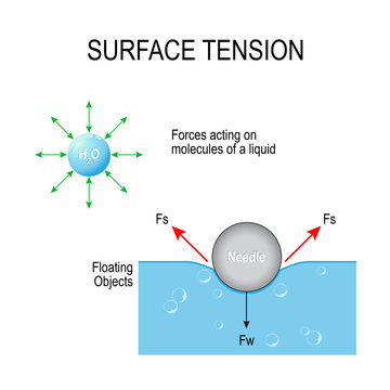 surface tension of water molecules