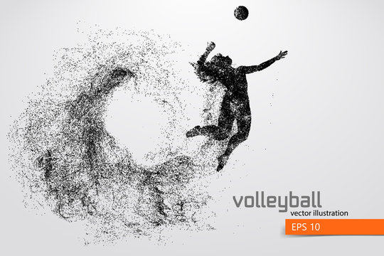 Silhouette of volleyball player.
