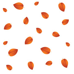 White background with autumn leaves. Autumn pattern. Vector illustration.
