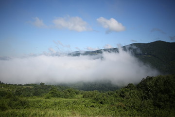 Fog Hanging Over a Valley