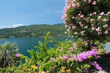 Obraz premium Impressionen von der Isola Bella im Lago Maggiore (Italien)