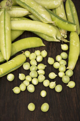 
Pea, (Pisum sativum)