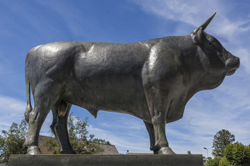 Taureau de Laguiole