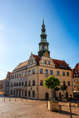 Fototapeta na wymiar City hall and marketplace in Pirna
