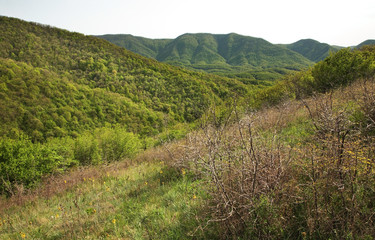 Fototapeta na wymiar Landscape near Vozrozhdenie village and Gelendzhik town. Krasnodar Krai. Russia
