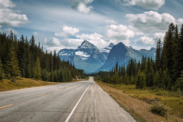 Scenic Icefields Pkwy traveling through Banff and Jasper National Parks