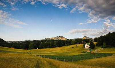 White house near the farm field in the foothills of the mountain. Morning light.