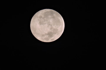 luna