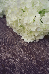white hydrangea on wooden surface