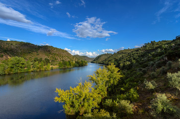 Fototapeta na wymiar Tagus River ( Rio Tejo)