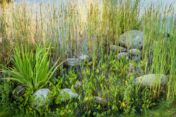 Kleiner Teich