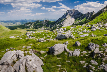 Fototapeta na wymiar Rock in the big karst of mountain Durmitor in Montenegro