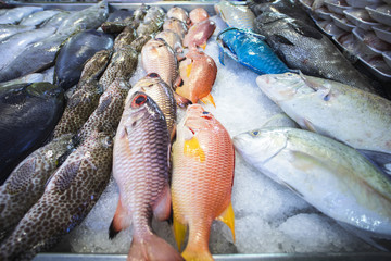 poissons dans un marché en polynésie, tahiti