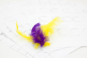 Colorful feathers lying on white paper sheets