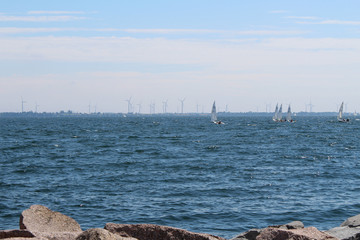 Leaning to sail regatta