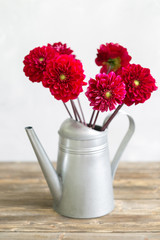 Old boards with bucket watering of flowers vintage.