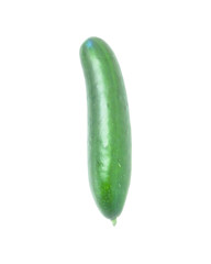 Cucumber on White Background