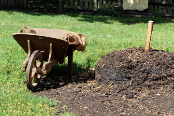 Old wooden wheelbarrow next to a large pile of manure